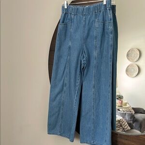 Madewell Casual Blue Denim Pants